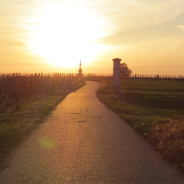 (c) Franziskusweg Weinviertel